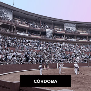 Plaza de toros de Córdoba, Los Califas