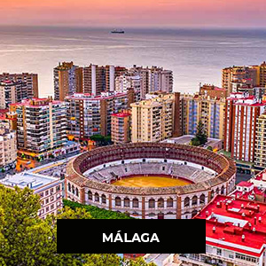 Plaza de toros de Málaga, La Malagueta