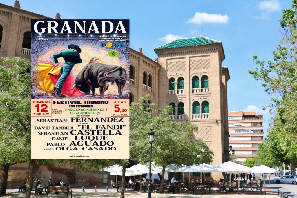 Festival solidario 2026